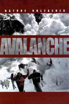 poster Nature Unleashed:  Avalanche  (2004)