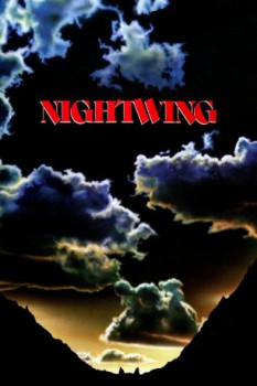 poster Nightwing